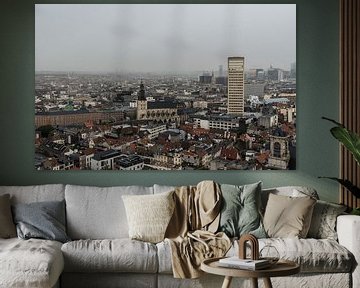 Stadzicht over Brussel centrum van Werner Lerooy