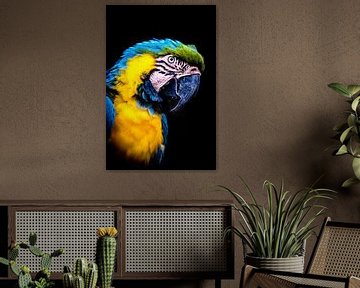 Portrait d'un ara bleu et jaune sur Dieter Walther