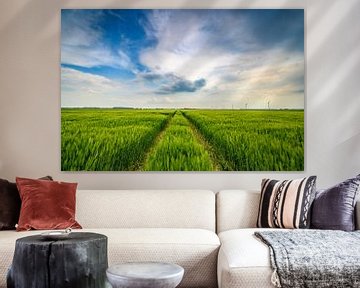 Grüne Weizenähren im späten Frühjahr mit bewölktem Himmel darüber von Sjoerd van der Wal