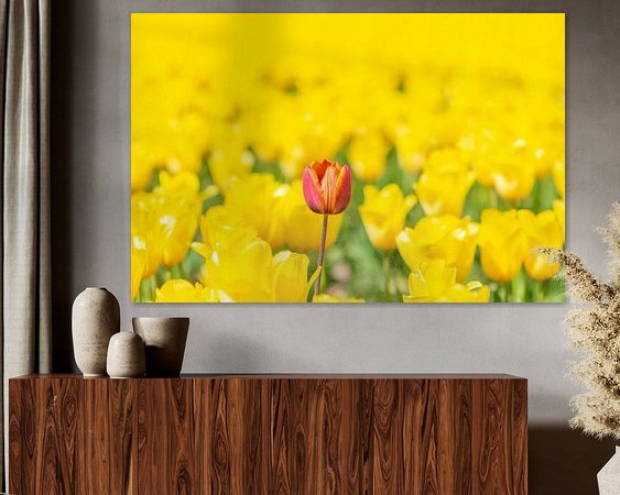 Voorbeeld van het werk in een kamer