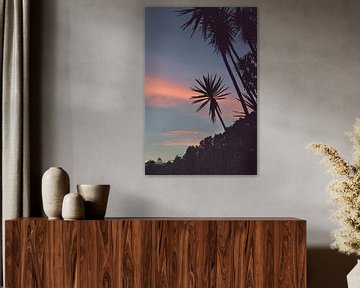 Roze wolken en palmbomen | Pastel | Natuur | San Jose del Pacifico | M van Kimberley Helmendag