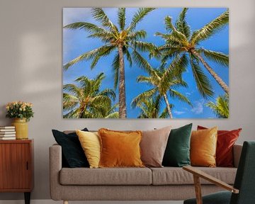 Palm Trees at the beach by Melanie Viola