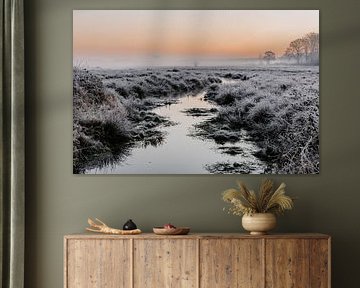 Mysterious Winter by Marloes Mol