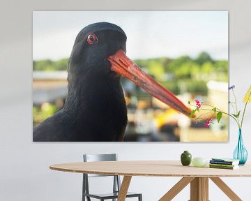 Oystercatcher by Kjeld van den Heuvel