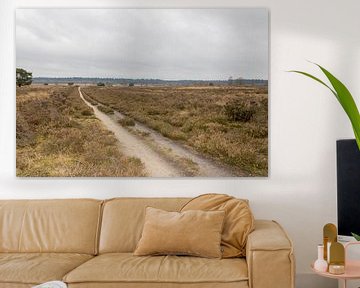 Path over the heath by Fotowinkel 2.0