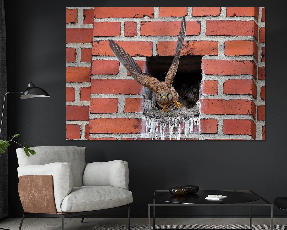 Voorbeeld van het werk in een kamer