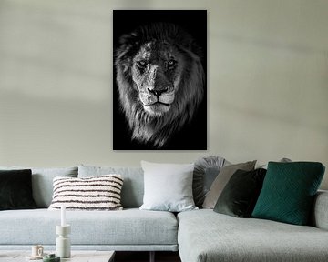 Lion by Jacco van Son