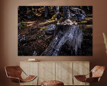 Pierres sur la souche