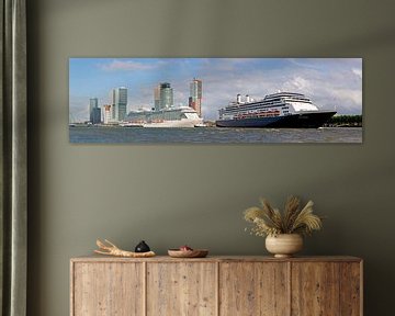 Panorama zwei Kreuzfahrtschiffe in Rotterdam von Anton de Zeeuw