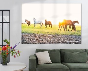 Paarden in het landschap met ondergaande zon van Vera de Reus