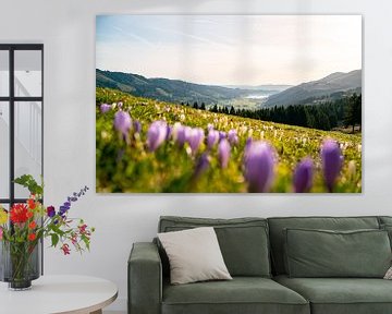 Crocuses at Hündle with view of Alpsee lake by Leo Schindzielorz