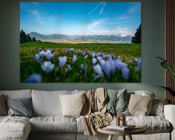 Flowery views of the Upper Allgäu region by Leo Schindzielorz