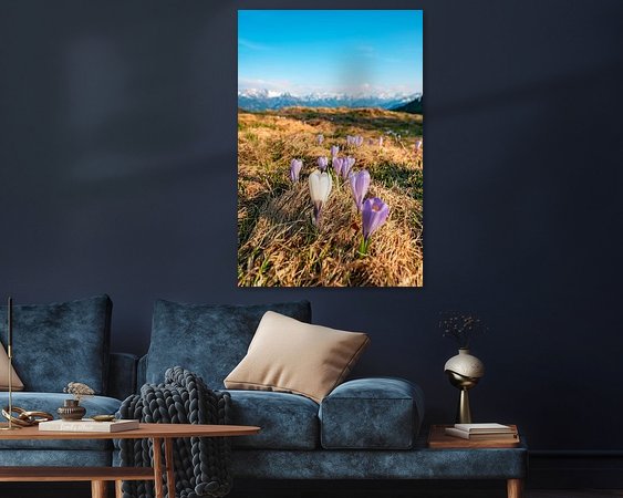 Aperçu de la chambre