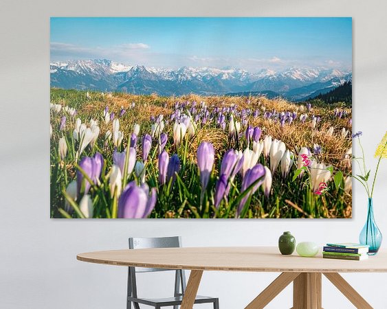 Aperçu de la chambre