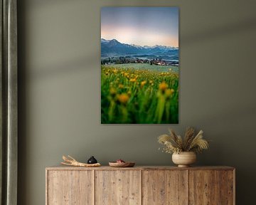 Flowery view of the Allgäu Alps by Leo Schindzielorz