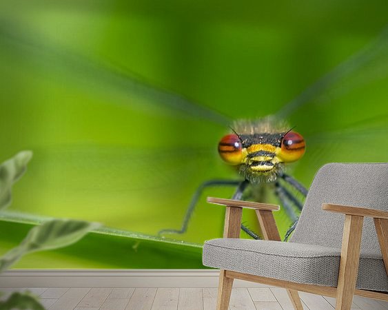 Raumvorschau