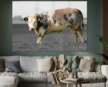 Koe in Hollandse weide van het Groene Hart van Charles Braam