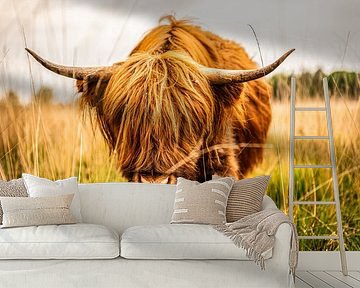 Scottish Highlander looking into the camera by Bas Fransen
