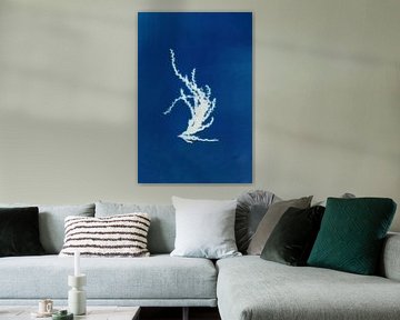 Cyanotype - Myscanthus #2 - dried flower Art Print by Studio Peep Up