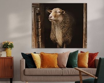 Mouton de la lande de Drenthe sur D.Verts