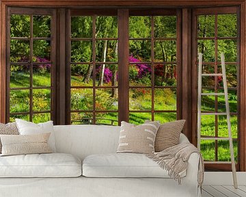 View from a wooden window
