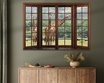 Vue d'une fenêtre en bois