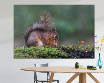 Etenstijd van Leo Kramp Fotografie