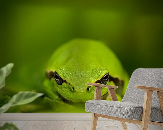 Raumvorschau
