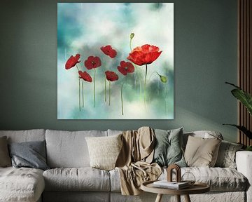 Floating poppies….