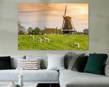 Kleurrijk zonlicht over een dijk met lammetjes en een windmolen van Marc Venema