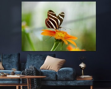 Zebravlinder op exotische bloem van Ivonne Fuhren- van de Kerkhof