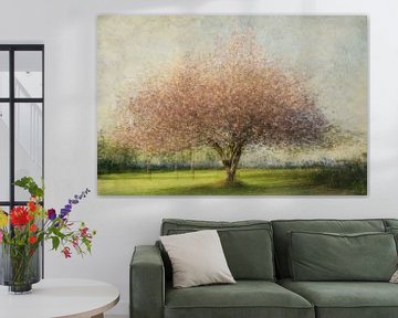 Fine art photograph of a Japanese cherry in bloom. by Faeline Creations