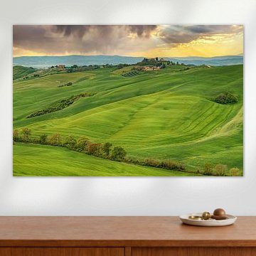 Toskanische Landschaft im Val D' Orcia
