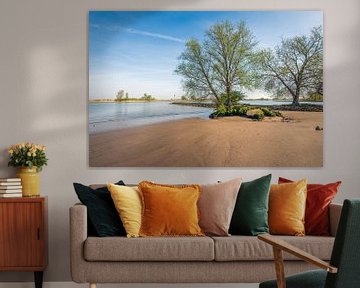 Trees on the bank of a river by Ruud Morijn