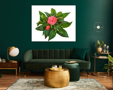 Aperçu de la chambre