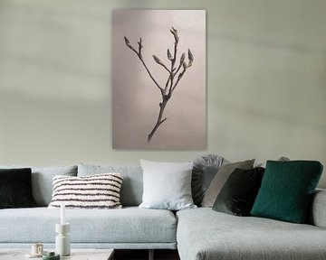 Stilleven Magnoliatak van Immerse Visuals