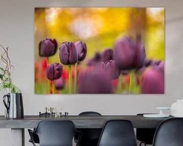 Purple Tulip Mania in Lisse by Andy Luberti