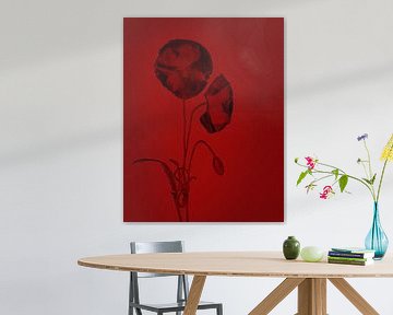 Coquelicots rouge noir pop art sur natascha verbij