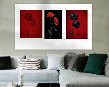 Series of poppies by natascha verbij