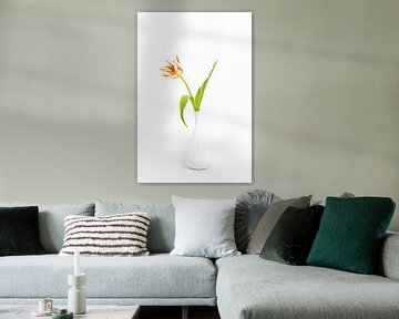 Eine weiß/rote Tulpe in weißer Vase von Karin Riethoven