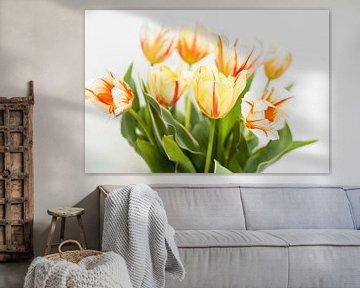Tulpen an der Wand von Karin Riethoven