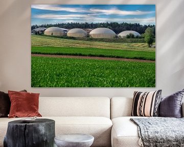 Alternatieve energie met biogasinstallaties van ManfredFotos