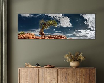 Alter Baum im Südwesten der USA von Voss Fine Art Fotografie