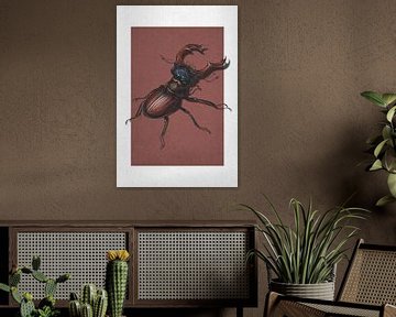 Stag Beetle van Marja van den Hurk