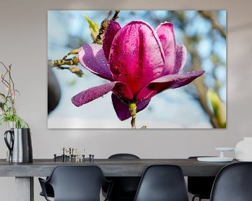 Magnolia 'na regen komt zonneschijn' van Ivonne Fuhren- van de Kerkhof