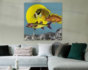 When Fish Fly van Marja van den Hurk