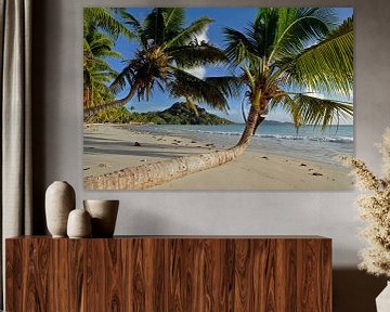 Kokospalmen op een zandstrand op Praslin, Seychellen van images4nature by Eckart Mayer Photography