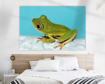Groene kikker verovert zwembad van images4nature by Eckart Mayer Photography