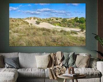 Paysage avec la dune depuis Amsterdam sur eric van der eijk