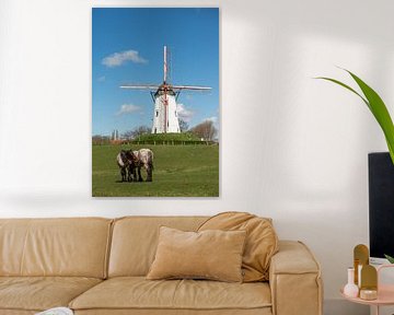 Molen en paarden in Damme van Annemarie Wolkers-Ven